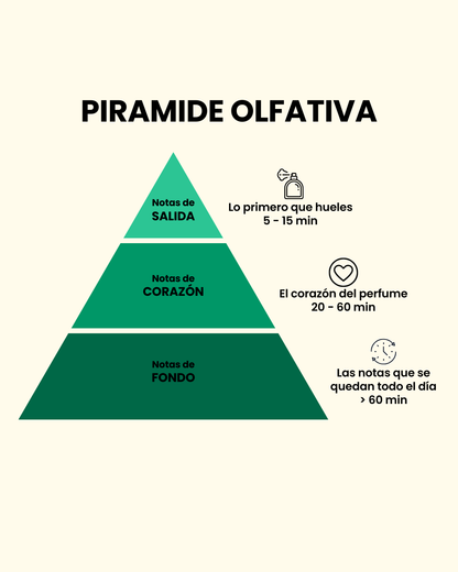 Pirámide olfativa